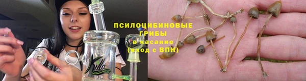 стаф Куйбышев